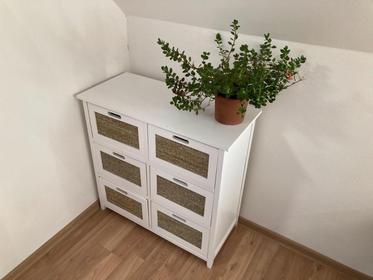 Apartmany U Reky Nezarky Lásenice Εξωτερικό φωτογραφία